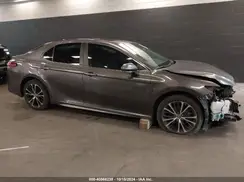 4T1B11HKXKU743158 2019 TOYOTA CAMRY