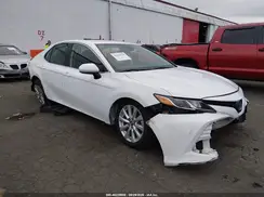 4T1B11HKXKU746027 2019 TOYOTA CAMRY