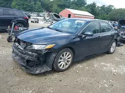 4T1B11HKXKU747789 2019 TOYOTA CAMRY