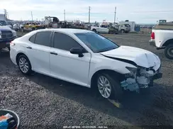 4T1B11HKXKU754936 2019 TOYOTA CAMRY