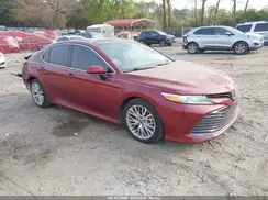 4T1B11HKXKU755875 2019 TOYOTA CAMRY
