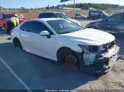 4T1B11HKXKU757187 2019 TOYOTA CAMRY