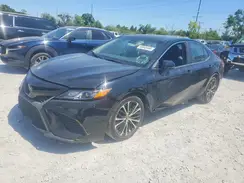 4T1B11HKXKU759117 2019 TOYOTA CAMRY