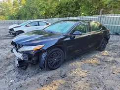 4T1B11HKXKU760297 2019 TOYOTA CAMRY