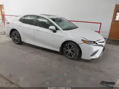 4T1B11HKXKU767587 2019 TOYOTA CAMRY