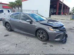 4T1B11HKXKU767699 2019 TOYOTA CAMRY