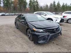 4T1B11HKXKU770649 2019 TOYOTA CAMRY