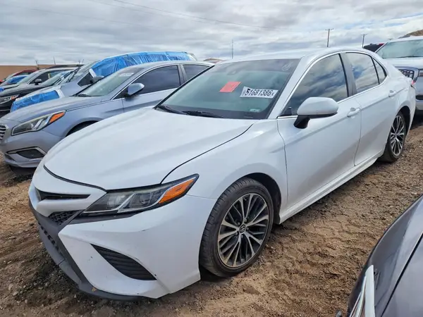 4T1B11HKXKU779934 2019 TOYOTA CAMRY - Image 1