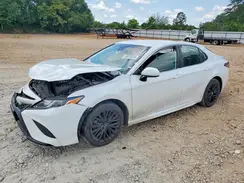 4T1B11HKXKU787838 2019 TOYOTA CAMRY