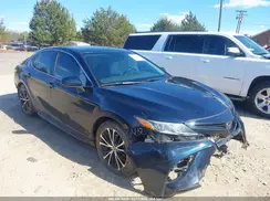 4T1B11HKXKU790156 2019 TOYOTA CAMRY