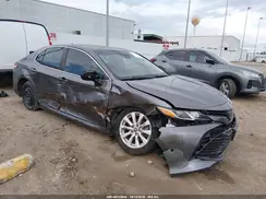 4T1B11HKXKU800720 2019 TOYOTA CAMRY