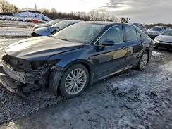 4T1B11HKXKU800894 2019 TOYOTA CAMRY
