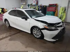 4T1B11HKXKU808767 2019 TOYOTA CAMRY
