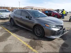 4T1B11HKXKU819459 2019 TOYOTA CAMRY