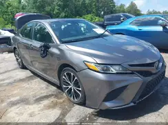4T1B11HKXKU825259 2019 TOYOTA CAMRY