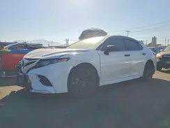4T1B11HKXKU838707 2019 TOYOTA CAMRY
