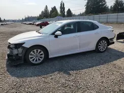 4T1B11HKXKU839730 2019 TOYOTA CAMRY