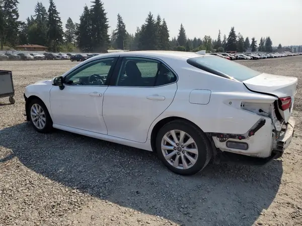 4T1B11HKXKU839730 2019 TOYOTA CAMRY - Image 2