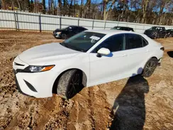 4T1B11HKXKU850226 2019 TOYOTA CAMRY