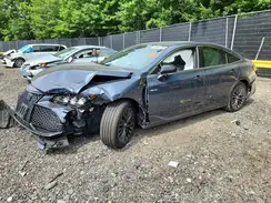 4T1B21FB0KU003988 2019 TOYOTA AVALON