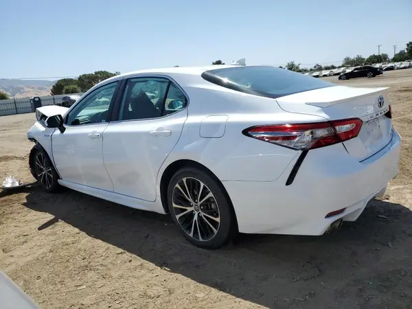 4T1B21HK0KU011683 2019 TOYOTA CAMRY - Image 2