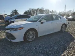 4T1B21HK0KU514923 2019 TOYOTA CAMRY