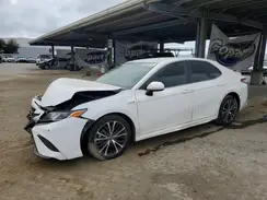 4T1B21HK0KU517045 2019 TOYOTA CAMRY