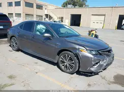 4T1B21HK0KU517580 2019 TOYOTA CAMRY