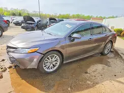 4T1B21HK0KU522021 2019 TOYOTA CAMRY