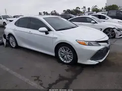 4T1B21HK1KU512159 2019 TOYOTA CAMRY