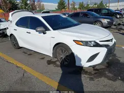 4T1B21HK2KU013063 2019 TOYOTA CAMRY