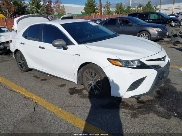 4T1B21HK2KU013063 2019 TOYOTA CAMRY - Image 1