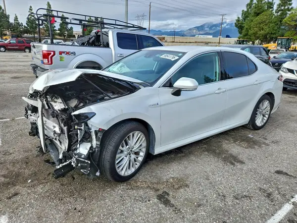4T1B21HK2KU014262 2019 TOYOTA CAMRY - Image 1