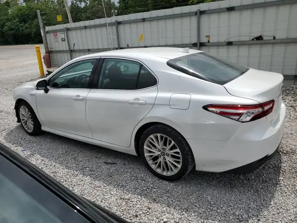 4T1B21HK2KU512252 2019 TOYOTA CAMRY - Image 2