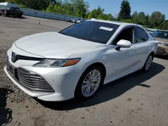 4T1B21HK2KU513529 2019 TOYOTA CAMRY
