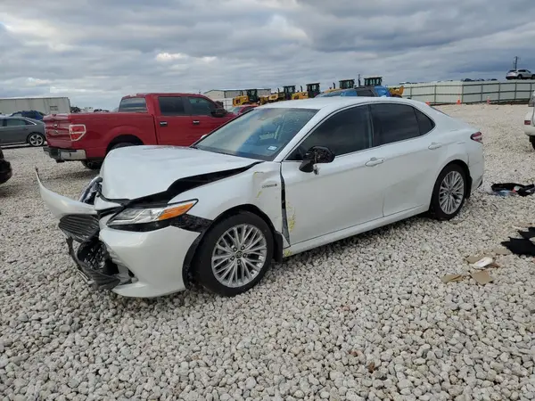 4T1B21HK2KU514342 2019 TOYOTA CAMRY - Image 1