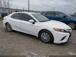 4T1B21HK2KU516172 2019 TOYOTA CAMRY