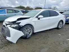 4T1B21HK2KU516768 2019 TOYOTA CAMRY