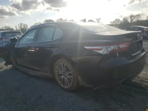 4T1B21HK2KU519539 2019 TOYOTA CAMRY - Image 2