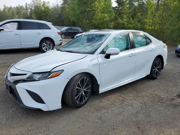 4T1B21HK2LU014621 2020 TOYOTA CAMRY - Image 1