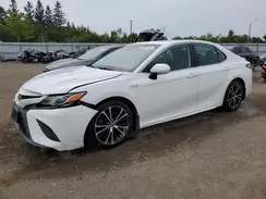 4T1B21HK2LU522667 2020 TOYOTA CAMRY