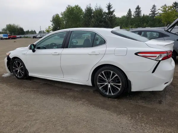 4T1B21HK2LU522667 2020 TOYOTA CAMRY - Image 2