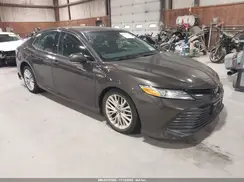 4T1B21HK3KU010978 2019 TOYOTA CAMRY