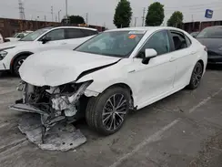 4T1B21HK3KU011371 2019 TOYOTA CAMRY