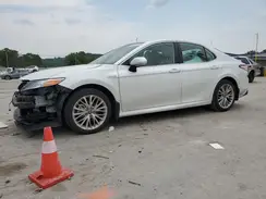 4T1B21HK3KU518772 2019 TOYOTA CAMRY
