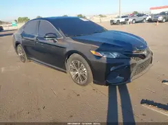 4T1B21HK3KU520103 2019 TOYOTA CAMRY