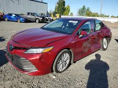 4T1B21HK3KU520196 2019 TOYOTA CAMRY