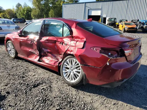 4T1B21HK3KU520196 2019 TOYOTA CAMRY - Image 2