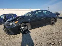 4T1B21HK3KU521929 2019 TOYOTA CAMRY