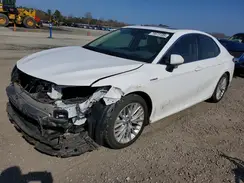 4T1B21HK4KU513998 2019 TOYOTA CAMRY